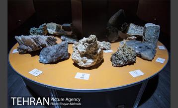 موزه علوم زمین 38