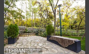 طبیعت پاییزی بوستان فدک 12