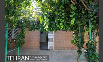 بوستان هورفر 17