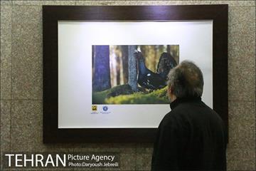 افتتاحیه نمایشگاه عکس چهار فصل کشور فنلاند 17