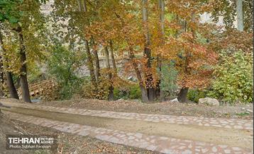 ­اکوپارک رود دره فرحزاد 46