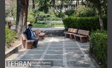 بوستان نیاوران در یک روز آفتابی 7