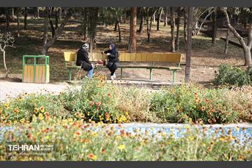 طبیعت پاییزی باغ راه فدک تهران 37