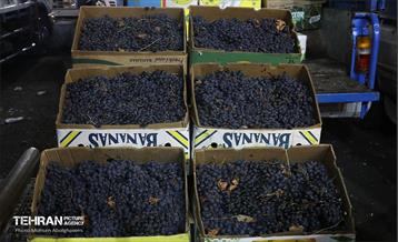 تره‌بار یلدایی 81