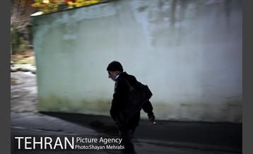 گرمخانه ها، دور از سرما 3