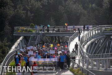 همایش پیاده روی خانوادگی کارکنان شهرداری 12