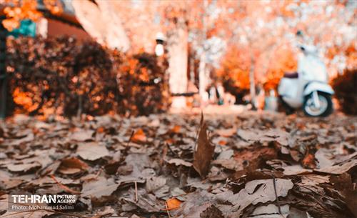 گذرگاه های پاییزی پایتخت - منطقه 9