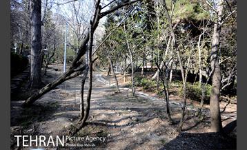 بوستان جمشیدیه (باغ سنگی جمشیدیه) 10