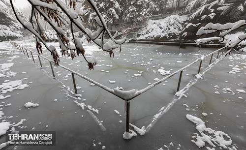روایت مه‌و‌برف در بوستان سنگی تهران  18