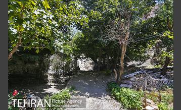 محله گلابدره تهران 16