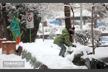 بارش برف در تهران 6
