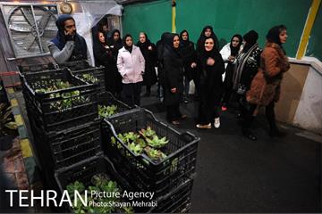 بازدید قائم مقام معاونت اجتماعی و جعمی از هنرمندان از سرای امید طلوع 37