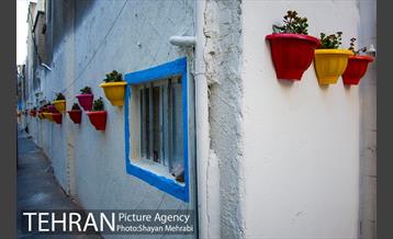 کوچه امیدی رنگ نوروز گرفت 7