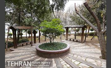 باغ راه فدک 28