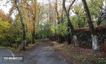 طبیعت پاییزی مجموعه فرهنگی تاریخی سعدآباد  28