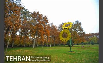 پاییز در پارک های تهران 9