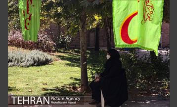 زیر آسمان روضه 17