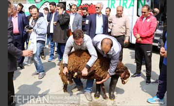 رونمایی از اتوبوس تیم ملی با طرح یوزپلنگ
