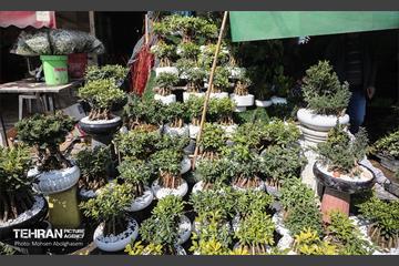 بازار گل شهید محلاتی در آخرین روزهاى سال 15