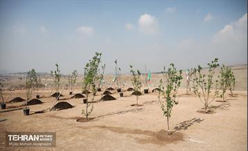 نشست خبری معاون خدمات شهری و محیط زیست 9