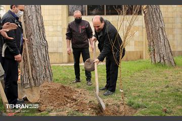کاشت درخت توسط هنرمندان در فرهنگسرای نیاوران 2