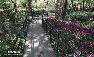 باغ ایرانی میزبان لاله‌ها 32