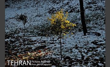 پاییز برفی پارک ملت 27