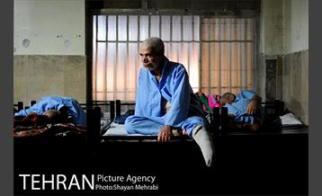 گرمخانه ها 10