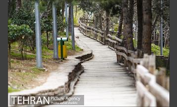 بوستان طالقانی 19