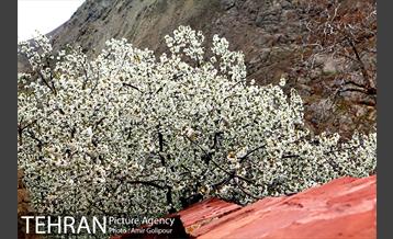 روستای کوهستانی وردیج 20