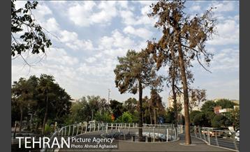 چهره جدید میدان بازار دوم نازی آباد 7