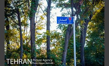 بوستان جنگلی چیتگر 6