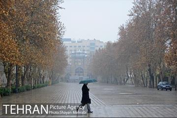 تهران بارانی است 8