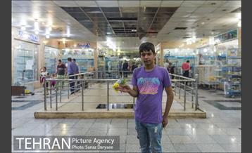 مرکز خرید و فروش پرندگان زینتی غرب تهران (خلیج)  25