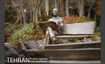 باغ راه فدک 13