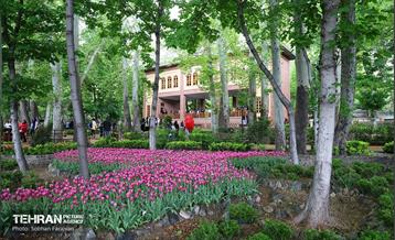 لاله‌ها میهمان باغ ایرانی 43