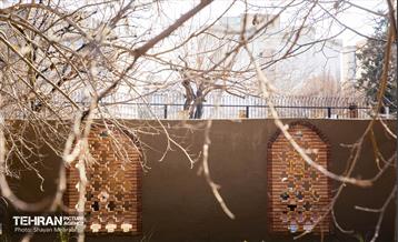 باغ گلاریس 18