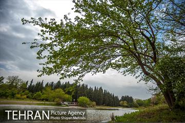باغ گیاه‌شناسی ملی ایران 10