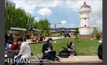 اولین جشنواره شهروند نقاش 11