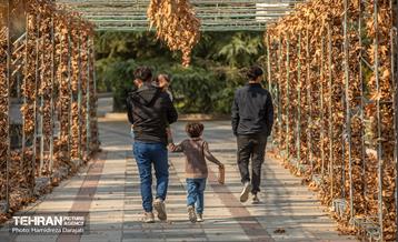 گذرگاه های پاییزی پایتخت - پارک ملت  6