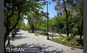 گذر پیاده راه استاد شهریار 9