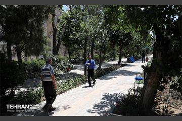 افتتاح بوستان شهدای خدمت و ۲۱۰ پروژه منطقه ۱۰ 9
