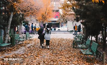 گذرگاه های پاییزی پایتخت - منطقه 9