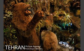 موزه حیات وحش هفت چنار 41