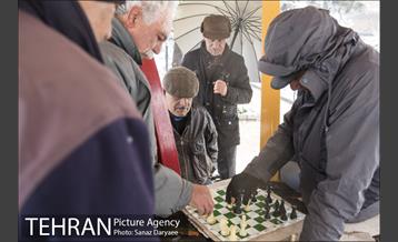 بارش برف در میدان نبوت (هفت حوض) 3