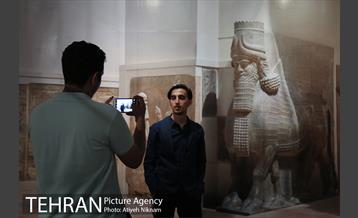 روزهایی پایانی موزه لوورو مجموعه عکس های عباس کیارستمی 15