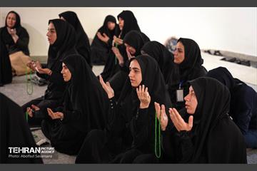 آماده‌سازی زائرشهر منطقه 8 3