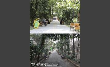 منطقه 7 در گذر زمان 5