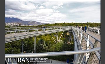 پل طبیعت در اولین روزهای پاییزیی 14