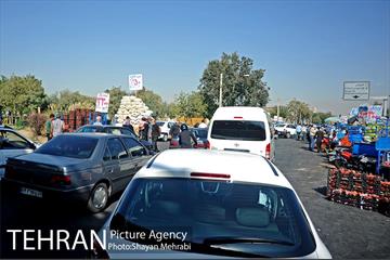 میوه فروشان خیابانی 2